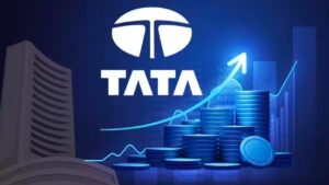 Tata Group Market Cap 2024